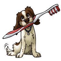 Cómo cepillar los dientes a tu perro o gato: guía paso a paso 3 cepillado dientes perro