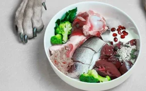 riesgos de dieta barf para perros