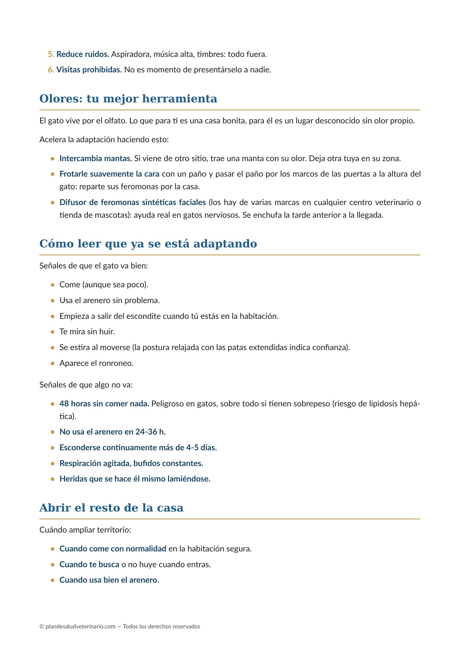Apertura de capítulo con ilustración