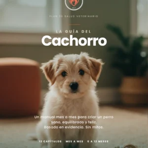 La Guía del Cachorro