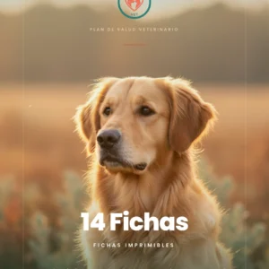 Fichas del Manual del Perro