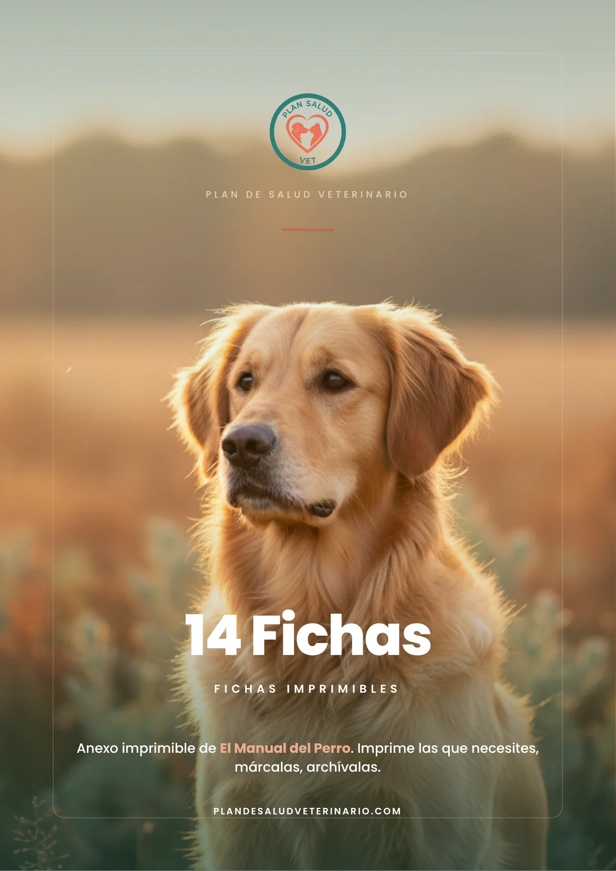Fichas del Manual del Perro 1 Fichas del Manual del Perro