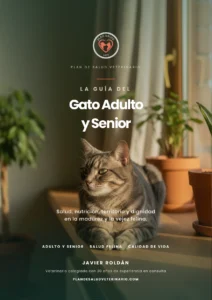 La Guía del Gato Adulto y Senior