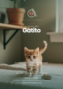 La Guía del Gatito