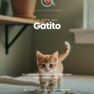 La Guía del Gatito