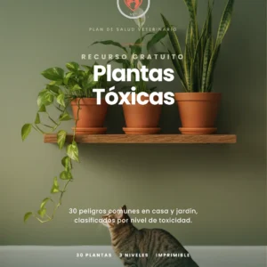 Plantas Tóxicas para Mascotas