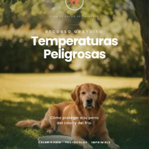 Temperaturas Peligrosas para Mascotas