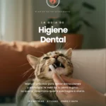 Qué hay debajo del sarro: por qué la limpieza dental del perro necesita anestesia 1 Guía de Higiene Dental