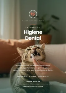 Guía de Higiene Dental