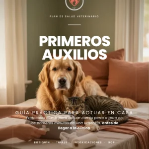 Guía de Primeros Auxilios