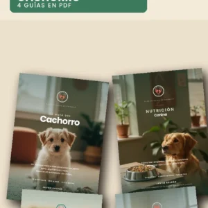 Pack Recién Llegado · Cachorro