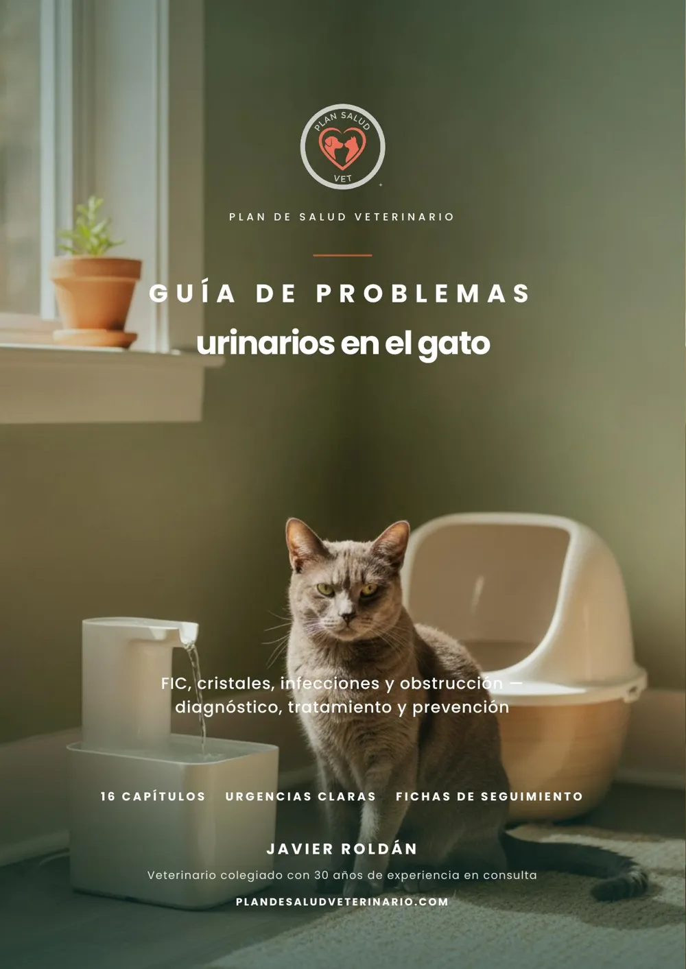 La Guía de Problemas Urinarios en el Gato