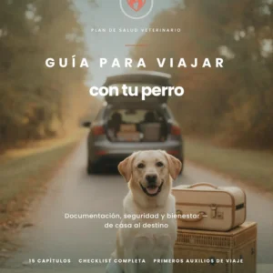 La Guía para Viajar con tu Perro