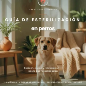 La Guía de Esterilización en Perros