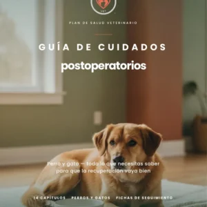 La Guía de Cuidados Postoperatorios (Perro y Gato)