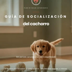 La Guía de Socialización del Cachorro