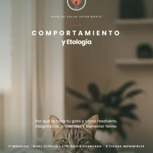 Portada del manual Comportamiento y Etología del Gato — guía PDF con protocolos veterinarios sobre comportamiento del gato