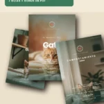 Pack Gatos Biblioteca Completa